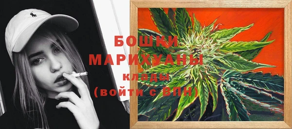 тгк Богданович
