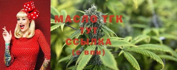 тгк Богданович
