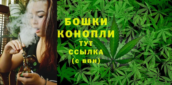 тгк Богданович