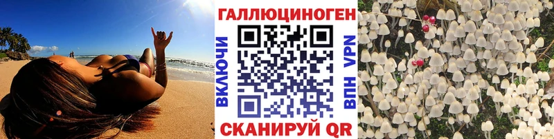 Галлюциногенные грибы Psilocybe  Купить закладки  Алушта 